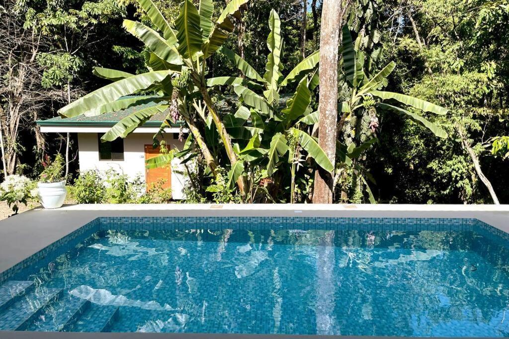 An Abundance Of Wildlife At Jungle Glory Home Abajo Мануэль-Антонио Экстерьер фото