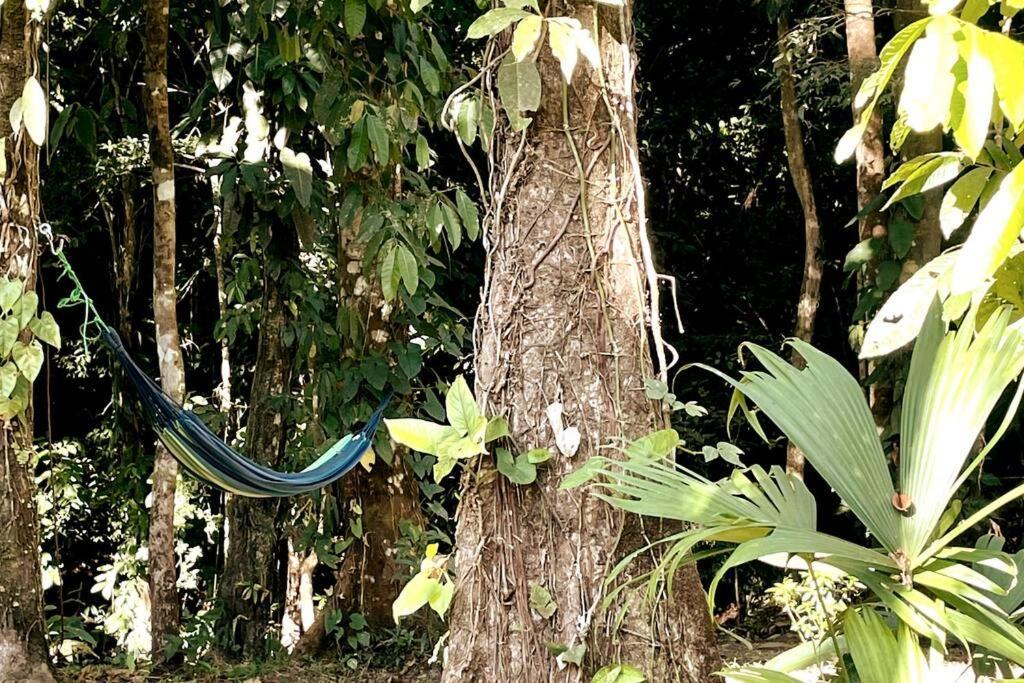 An Abundance Of Wildlife At Jungle Glory Home Abajo Мануэль-Антонио Экстерьер фото