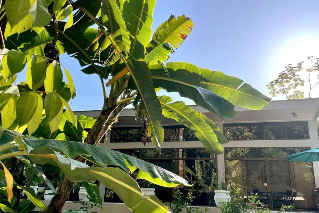 An Abundance Of Wildlife At Jungle Glory Home Abajo Мануэль-Антонио Экстерьер фото