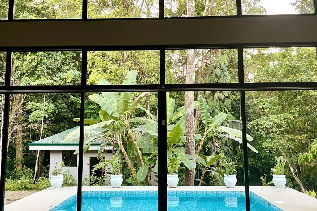 An Abundance Of Wildlife At Jungle Glory Home Abajo Мануэль-Антонио Экстерьер фото