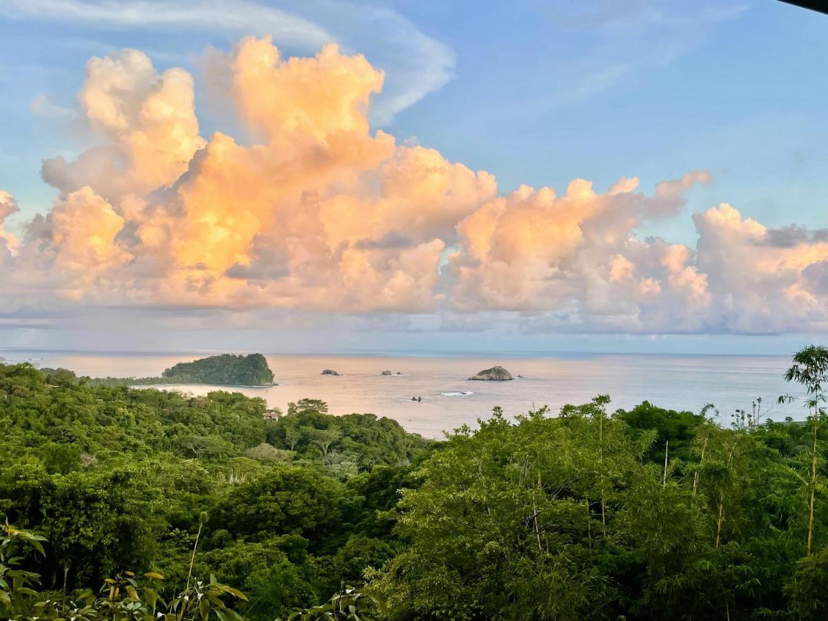 An Abundance Of Wildlife At Jungle Glory Home Abajo Мануэль-Антонио Экстерьер фото